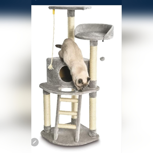 Amazon Cat Amazon Basics Cat Condo Tree Towerproduct Dimensions 9l
